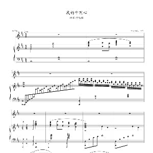 我的中国心 钢琴谱 雨田