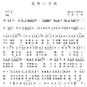 我的小白杨_民歌简谱_词曲:胡全民 许晓杰 许晓杰