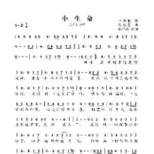 小生命_歌曲简谱_词曲:林敏聪 陈秋霞