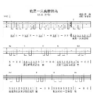 我是一只离群的鸟 吉他谱 洪启 洪启 洪启