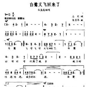 白鹭又飞回来了_民歌简谱_词曲:志同 金月苓
