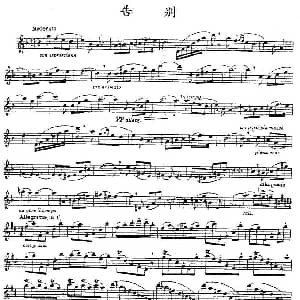 长笛曲谱 | 告别