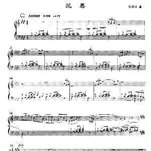 手风琴谱 | 沉思 张新化