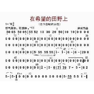 在希望的田野上_歌曲简谱_词曲: 李国林配器