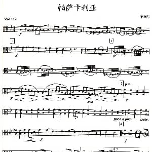 帕萨卡利亚 四重奏之中提琴