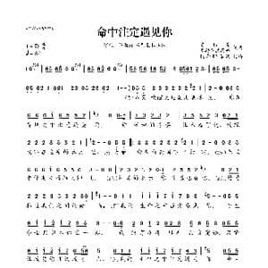 命中注定遇见你_歌曲简谱_词曲:陈雅森/苏勒亚其其格 陈雅森/苏勒亚其其格