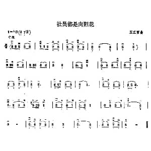 二胡谱 | 社员都是向阳花 王玉西