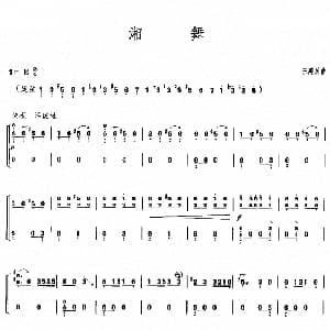 古筝谱 | 湘舞 王建民