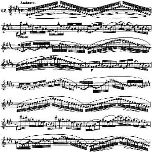 长笛曲谱 | 柯勒30首高级长笛练习曲作品75号 NO.22 Kohler 柯勒