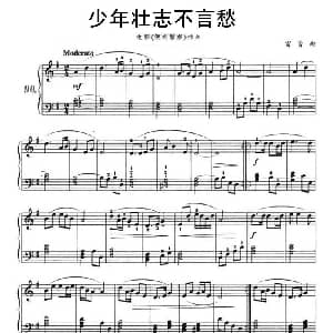 少年壮志不言愁 钢琴谱