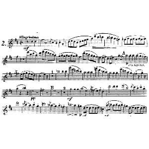 长笛曲谱 | 库劳长笛二重奏练习曲Op.10 Flute 1 No.2 Kuhlau 库劳