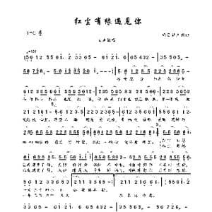 红尘有缘遇见你_歌曲简谱_词曲:轻云望月 轻云望月
