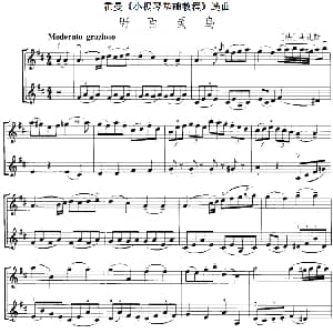 小提琴谱 | 霍曼 小提琴基础教程 选曲 野百灵鸟 二重奏 法 马扎斯
