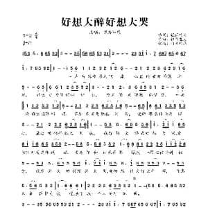 好想大醉好想大哭_歌曲简谱_词曲:轻云望月 轻云望月