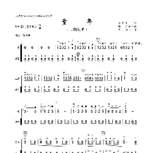 二胡谱 | 童年 二胡独奏 王罗生
