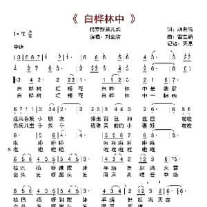 白桦林中_歌曲简谱_词曲:胡宏伟 雷立新