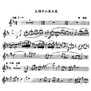 萨克斯谱 | 大顶子山高又高 郑路