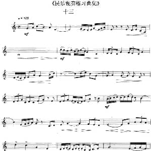 民乐视奏练习曲集 13—14