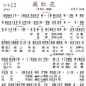 藏红花_歌谱投稿