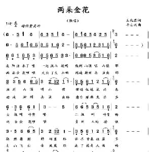 两朵金花_通俗唱法乐谱_词曲:王兆君 李士兴