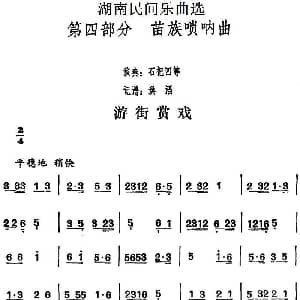 游街赏戏 湖南民间乐曲选 洪滔记谱