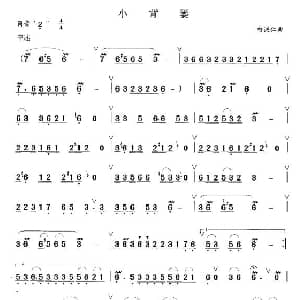 笛子谱 | 小背篓
