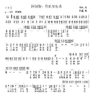 阿妈妮,你到哪里去_歌谱投稿_词曲:李风 田蕊
