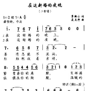 在这新婚的夜晚_通俗唱法乐谱_词曲:季新山 吴太邦