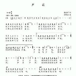 芦花_民歌简谱_词曲:张振祥 付希庆