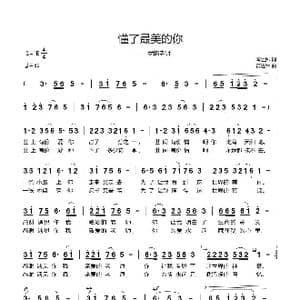 懂了最美的你_歌曲简谱_词曲:闫世卿 黄进军