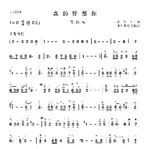 真的好想你_歌曲简谱