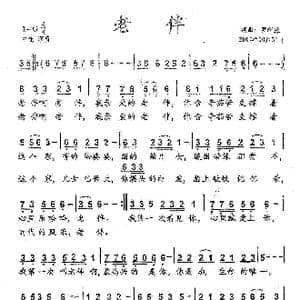 老伴_歌曲简谱_词曲:罗新廉 罗新廉