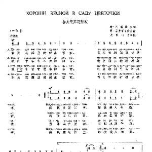 春天里鲜花怒放_歌曲简谱