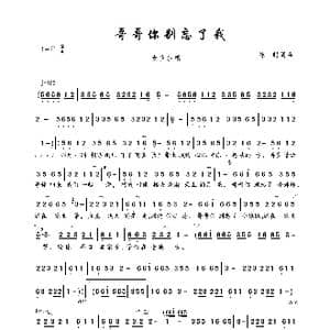 哥哥你别忘了我_歌曲简谱_词曲:陈超 陈超