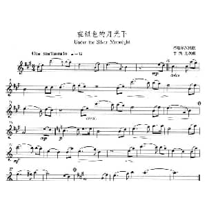 萨克斯谱 | 在银色的月光下