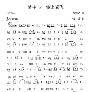 梦里与你比翼飞_通俗唱法乐谱_词曲:张效密 钱诚