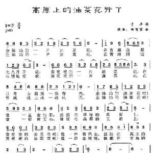 ​高原上的油菜花开了_民歌简谱_词曲:于平 田智宏