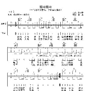 斑马斑马 吉他谱 宋冬野 宋冬野 宋冬野