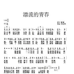 漂流的青春_歌曲简谱_词曲:童童 胡正伟