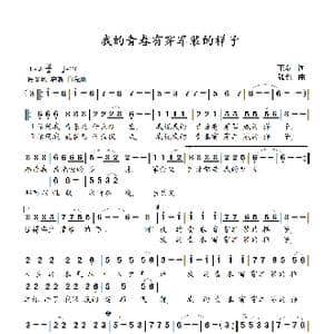 我的青春有穿军装的样子_歌曲简谱_词曲:王磊 张红