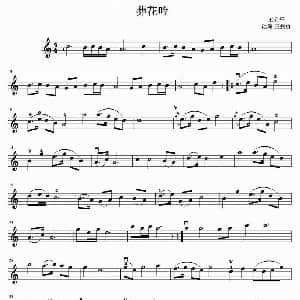 小提琴谱 | 葬花吟