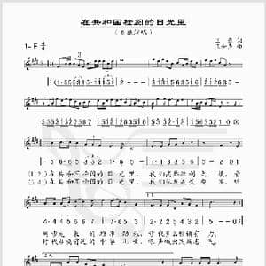 在共和国检阅的目光里_歌谱投稿_词曲:王磊 王和声