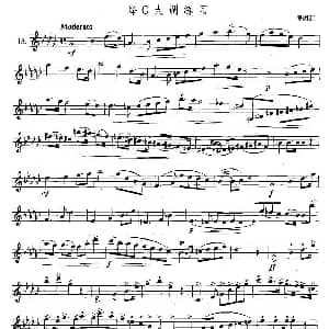 萨克斯谱 | 萨克斯练习曲合集 5—13 降G大调练习 海因茨