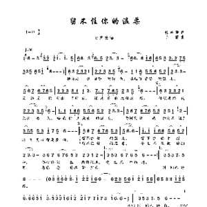 留不住你的温柔_歌曲简谱_词曲:韩春雨 子儒