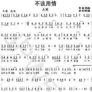 不该用情_歌曲简谱_词曲:乐者 乐者