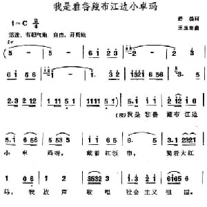我是雅鲁藏布江边小卓玛_儿歌乐谱_词曲:舒扬 王玉田