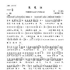 琵琶泪_歌曲简谱_词曲:佚名 佚名