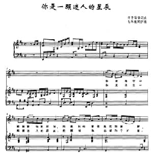 你是一颗迷人的星辰_美声唱法乐谱_词曲: 王平 锦潘词曲 毛晖敏配伴奏