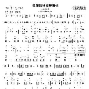 我在纳林湖等着你_歌曲简谱_词曲:孙德明 孙德明