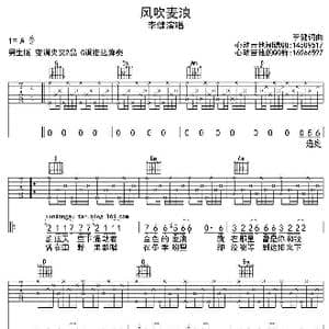 风吹麦浪_歌曲简谱_词曲:李健 李健